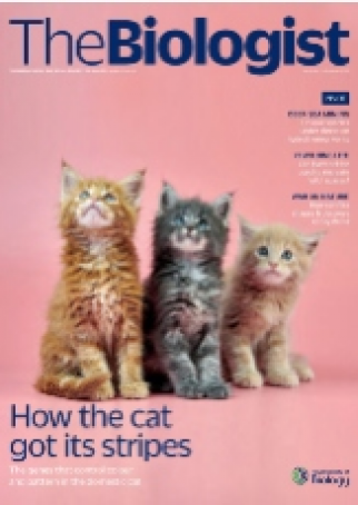 Magazine 2022_05_05_Vol69_No2__HowtheCatGot_itsStripes