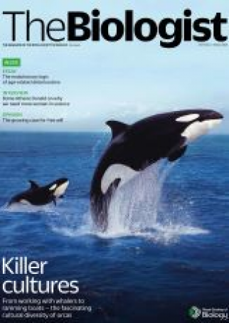 Magazine 2023_12_11_Vol70_No4_Killer_Culture