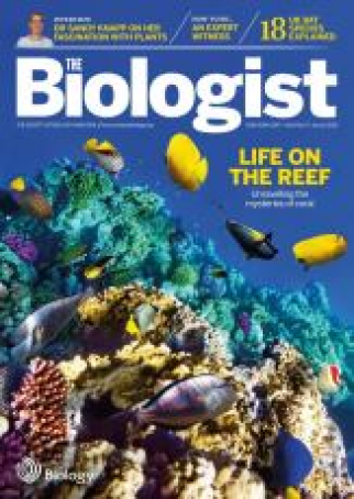 Magazine 2015_06_01_Vol62_No3_Life_On_The_Reef