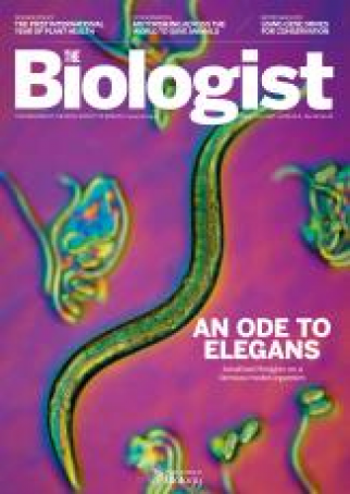 Magazine 2019_12_12_Vol66_No6_An_Ode_to_Elegans