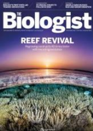 Magazine 2020_02_02_Vol67_No1_Reef_Revival