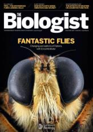 Magazine 2019_04_04_Vol66_No2__Fantastic_Flies