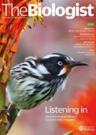 Magazine 2021_02_02_Vol68_No1__Listening_In