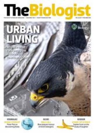 Magazine 2015_02_01_Vol62_No1_Urban_Living