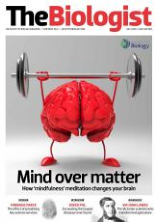 Magazine 2014_08_01_Vol61_No4_Mind_Over_Matter