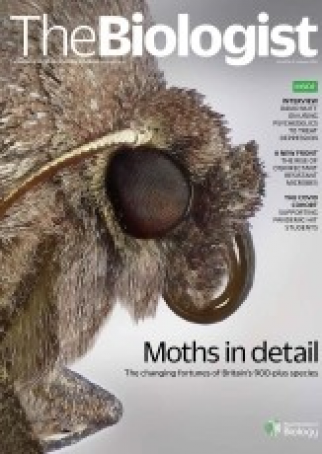 Magazine 2021_09_09_Vol68_No3__MothsinDetail