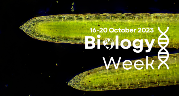 BioArtAttack Competition