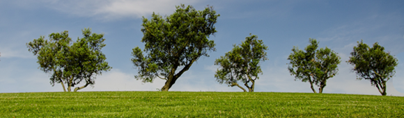 Higher education banner