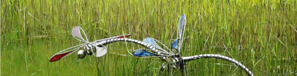 Dragonflies at Himalayan garden and sculpture park