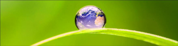 Interesting policy blogs