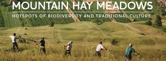 Mountain hay meadows 