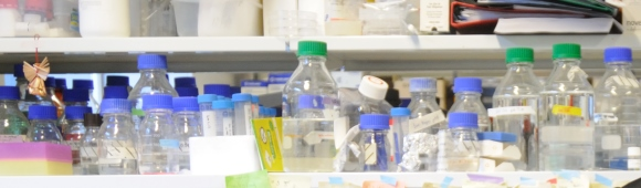 test tubes