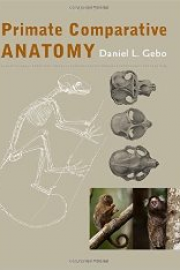 Primate Comparative Anatomy