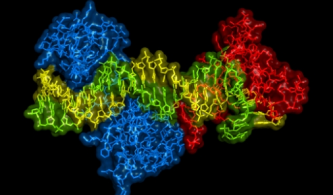 Proteomics