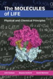 The Molecules of Life: Physical and Chemical Principles