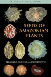 Seeds of Amazonian Plants