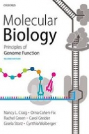 Molecular Biology