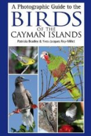 A Photographic Guide to the Birds of the Cayman Islands 