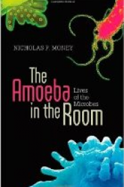 The Amoeba in the Room