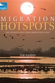 Migration Hotspots