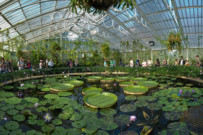 Waterlily House at Kew