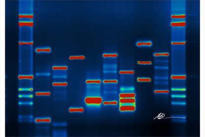 DNA sequencing by M Baldwin