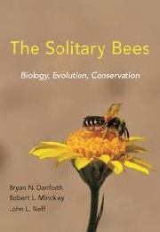 the solitary bees