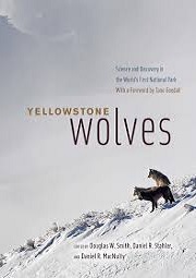 yellowstone wolves